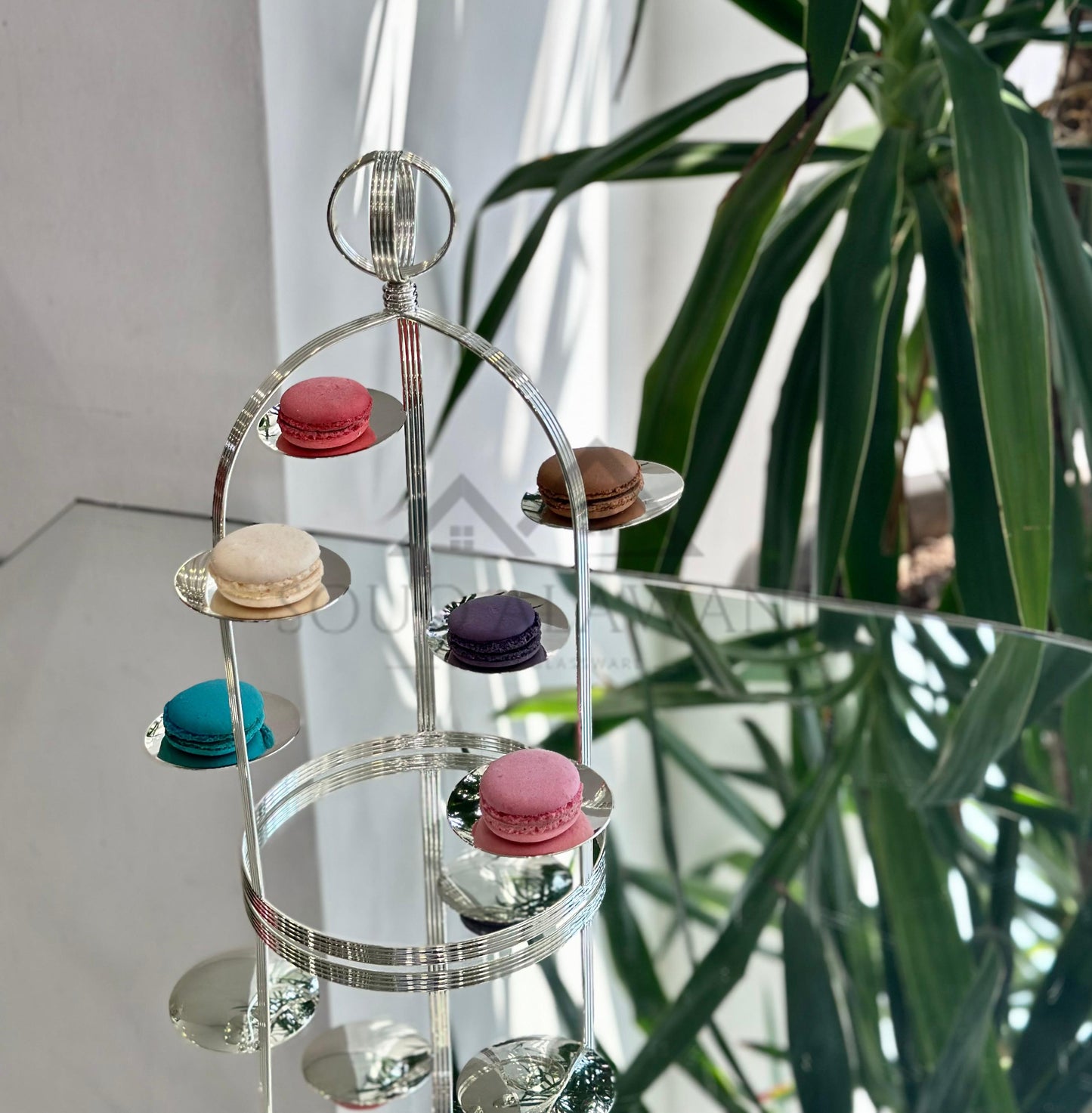 ستاند تقديم - SOUQ ALAWANI